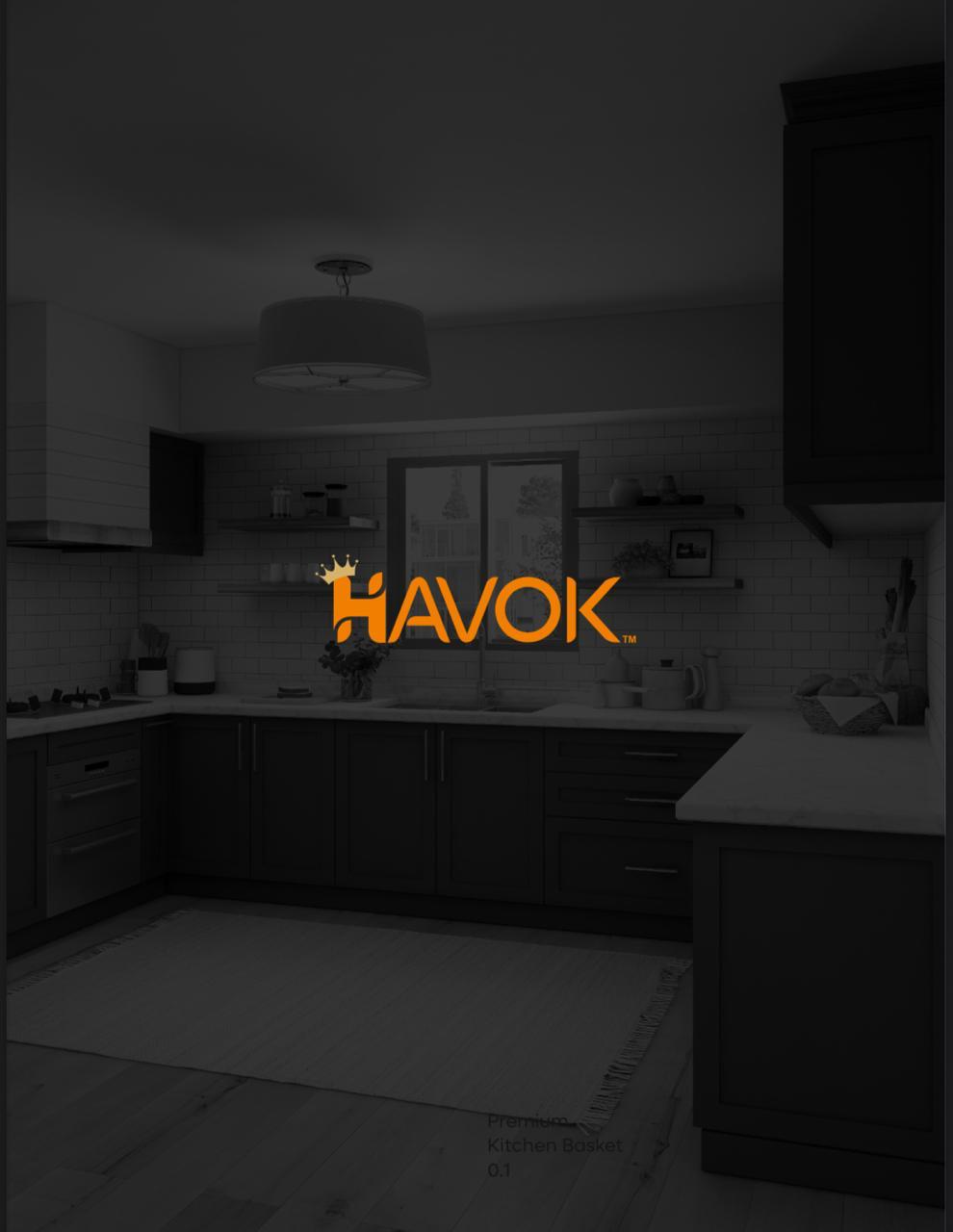 Havok Products